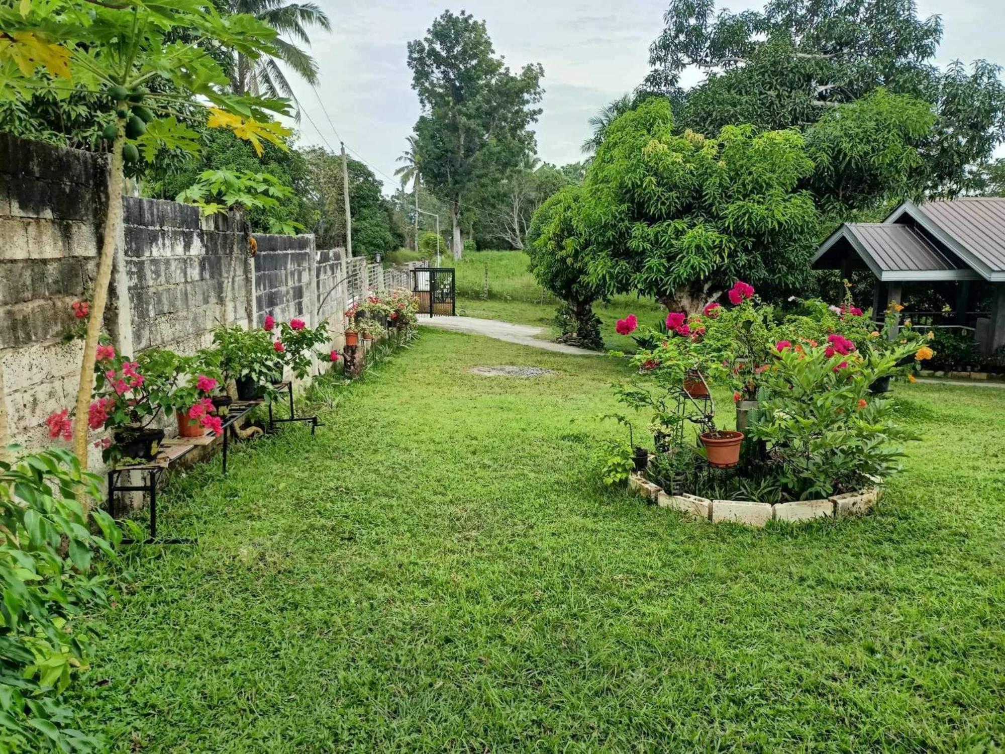 Balai Mariacaria Pension House Guindulman Eksteriør billede